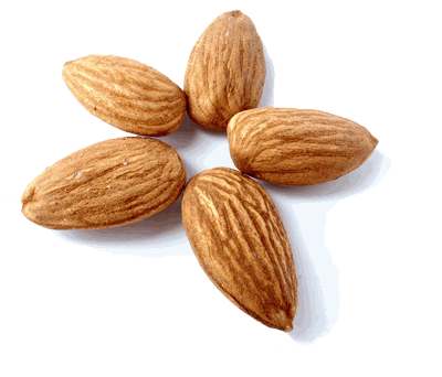 vegan_almond_star_400.png