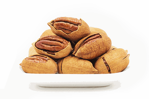 low_carb_pecan_nuts_500.png