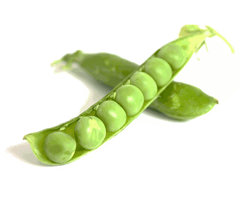 low_carb_green_peas_490.png