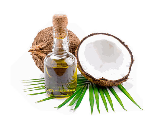 keto_coconut_oil_490.png