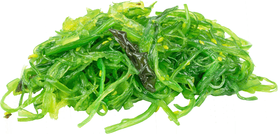 qualifirst-paleo-flavour.png
