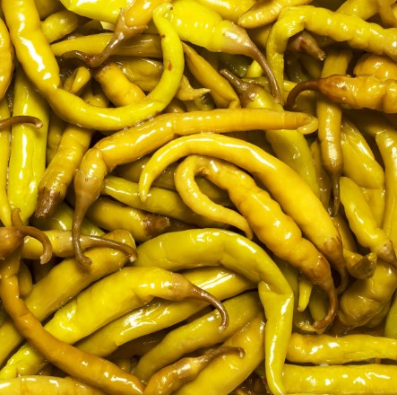 Marketing Photos Brochures [8888176] 060583_S1.jpg