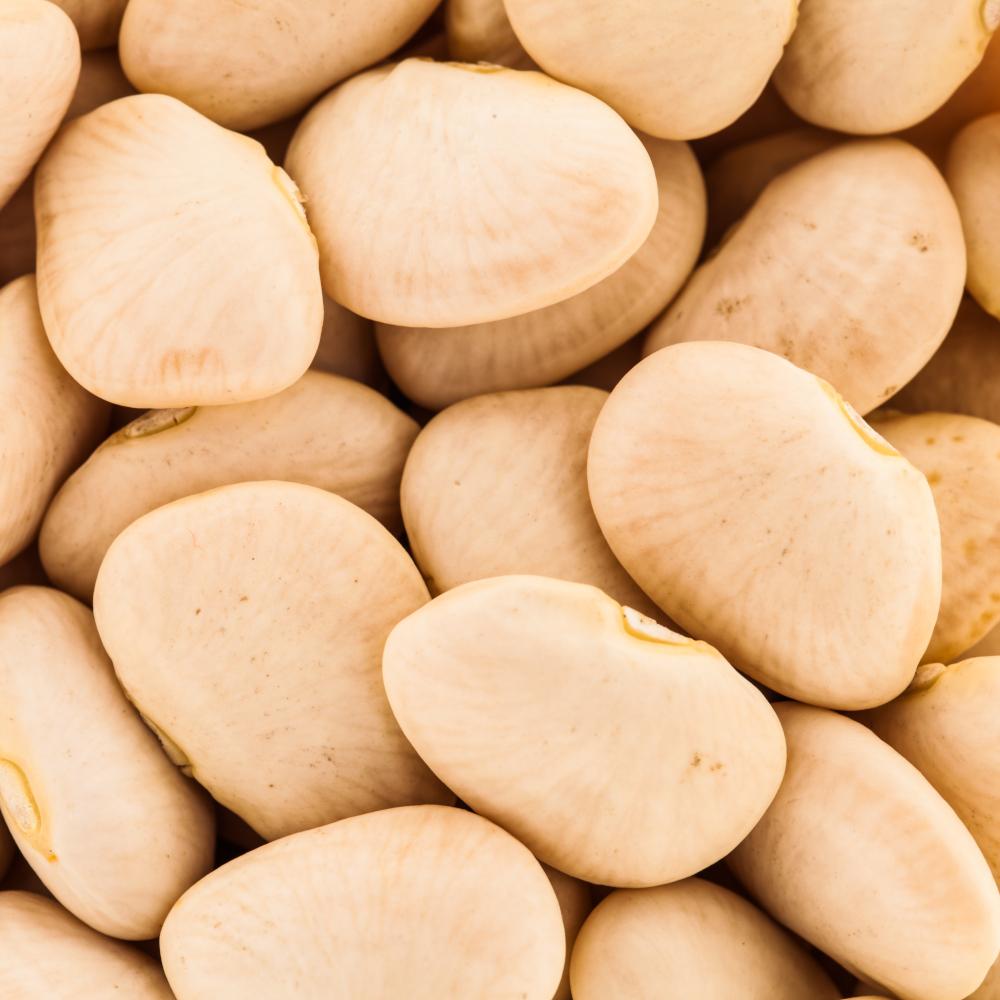 Marketing Photos Brochures [8888263] 061102_S1.jpg