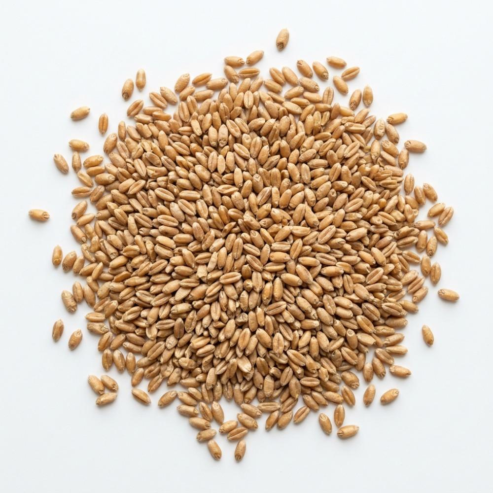 Product not in Package or Raw Product [8908499] 204270_R.jpg