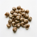 Product not in Package or Raw Product [8909154] 080904_R.jpg