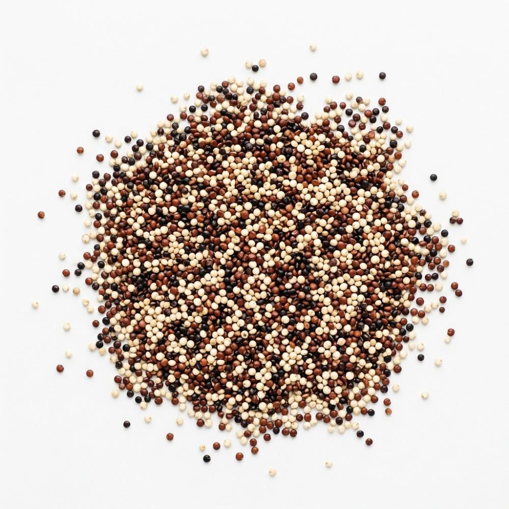 Quinoa 3 Couleurs 25 lbs Epigrain