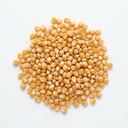 Popcorn Kernels (Mushroom) 5 lbs Epigrain