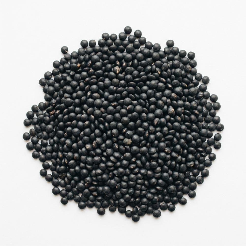 Lentils Beluga 5 kg Epigrain