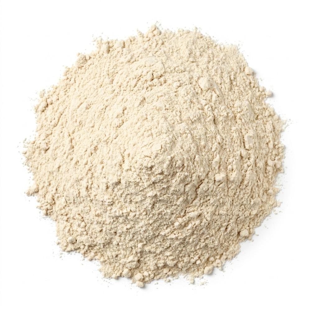 Gluten de blé vital 1 kg Dinavedic
