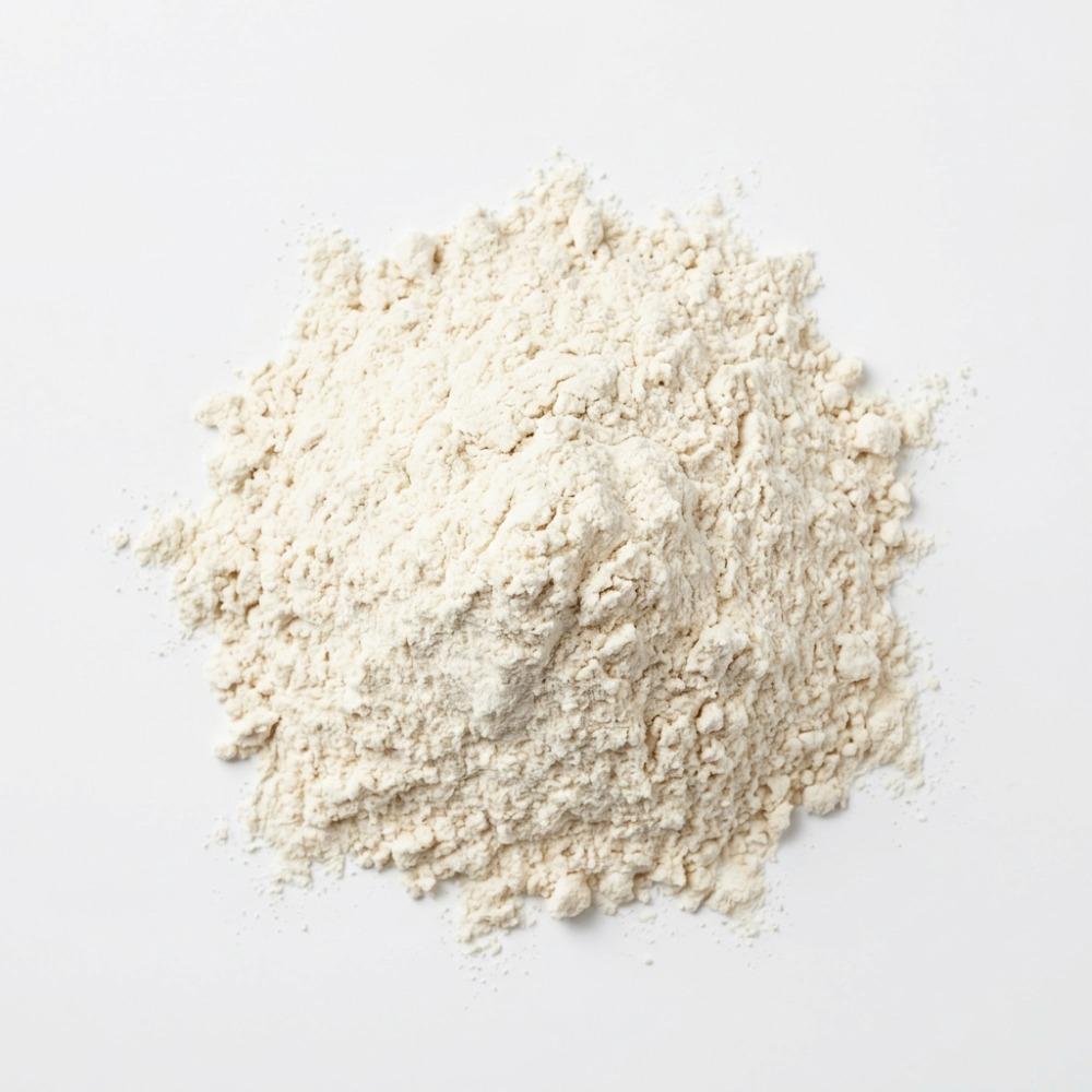 Wheat Free Vegan All Purpose Flour 5 lbs Epigrain