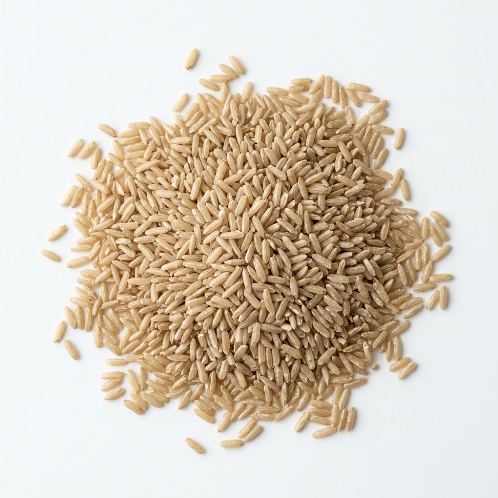 Sona Masoori Brown Rice 10 lbs Epigrain