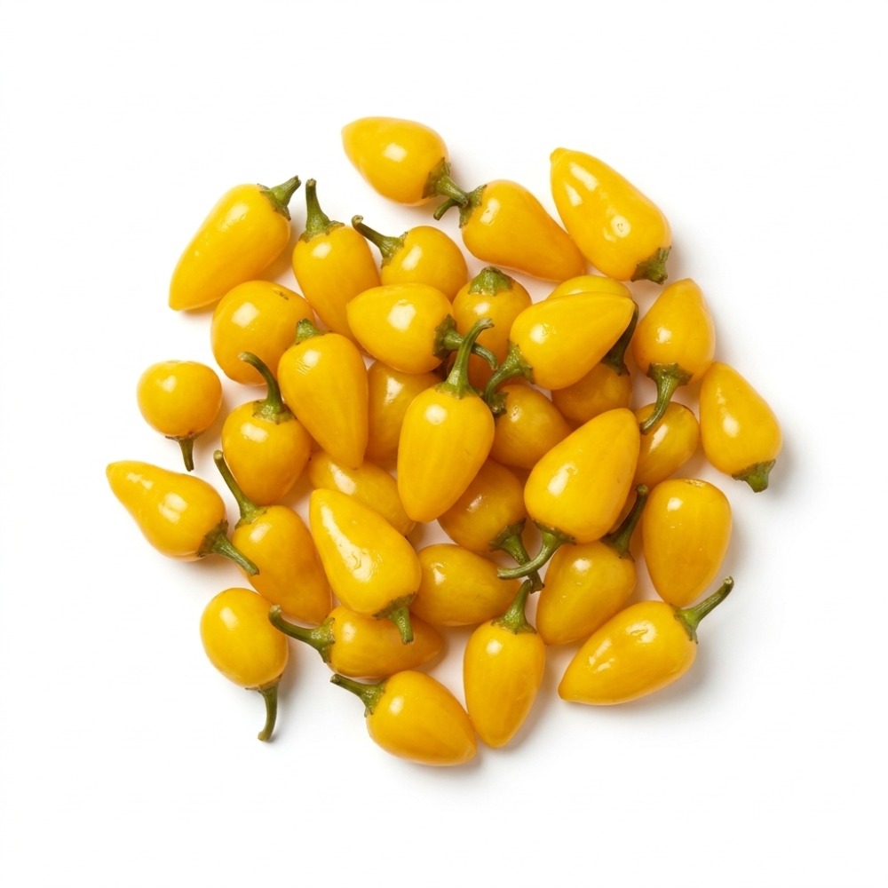 Viniteau