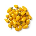 Viniteau