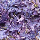 Fleurs comestibles de lilas 2 g Lioflor