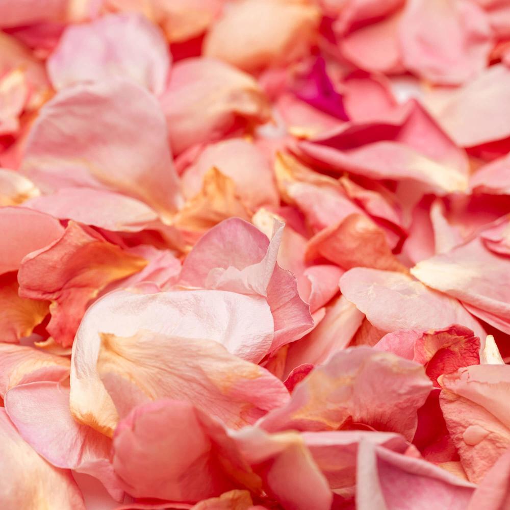 Apricot Rose Petals Freeze Dried Edible Flowers 3 g Lioflor