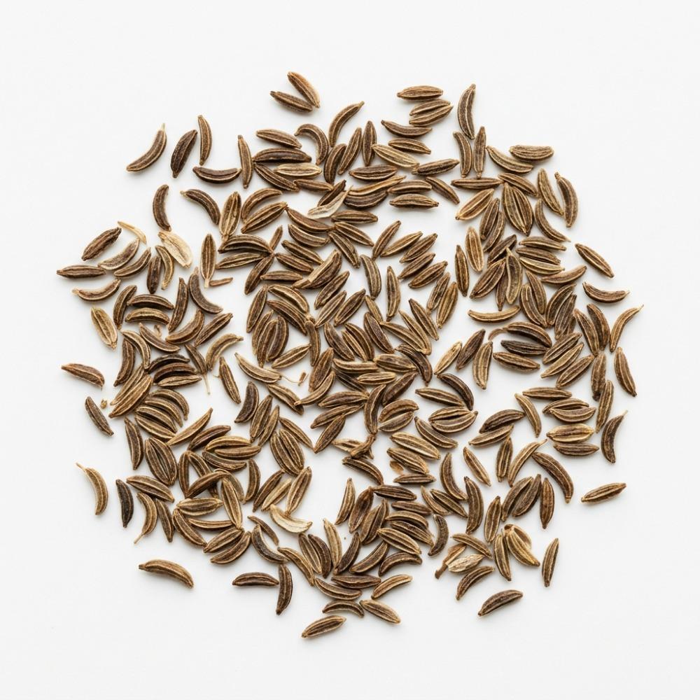 Caraway Seeds Whole 454 g 24K