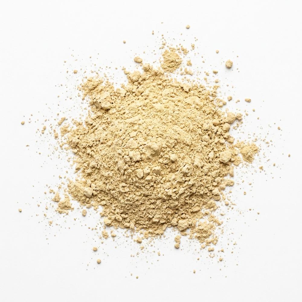 Champignon Mushroom Powder 1 kg 24K