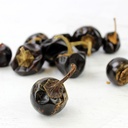Cascabel Chillies Whole 1 lbs 24K