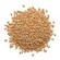 Grain de Farro Entier 5 lbs Epigrain