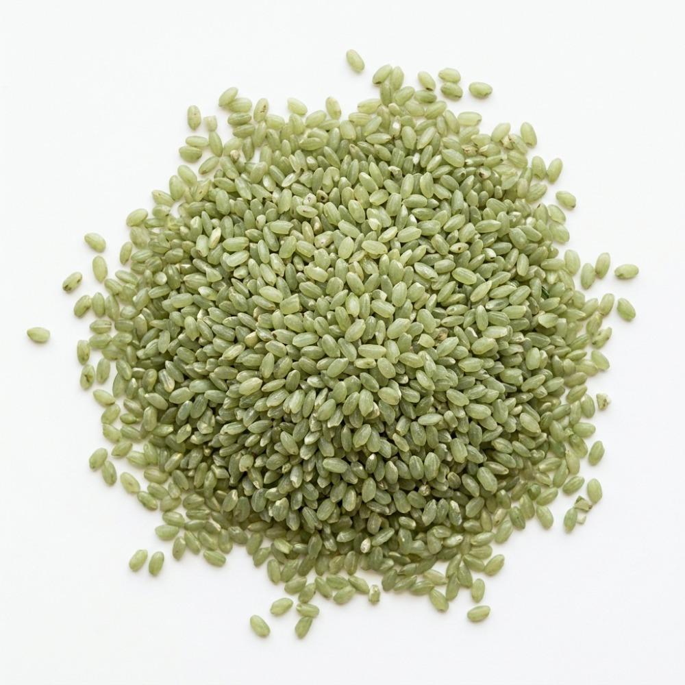 Jade Rice 5 lbs Epigrain