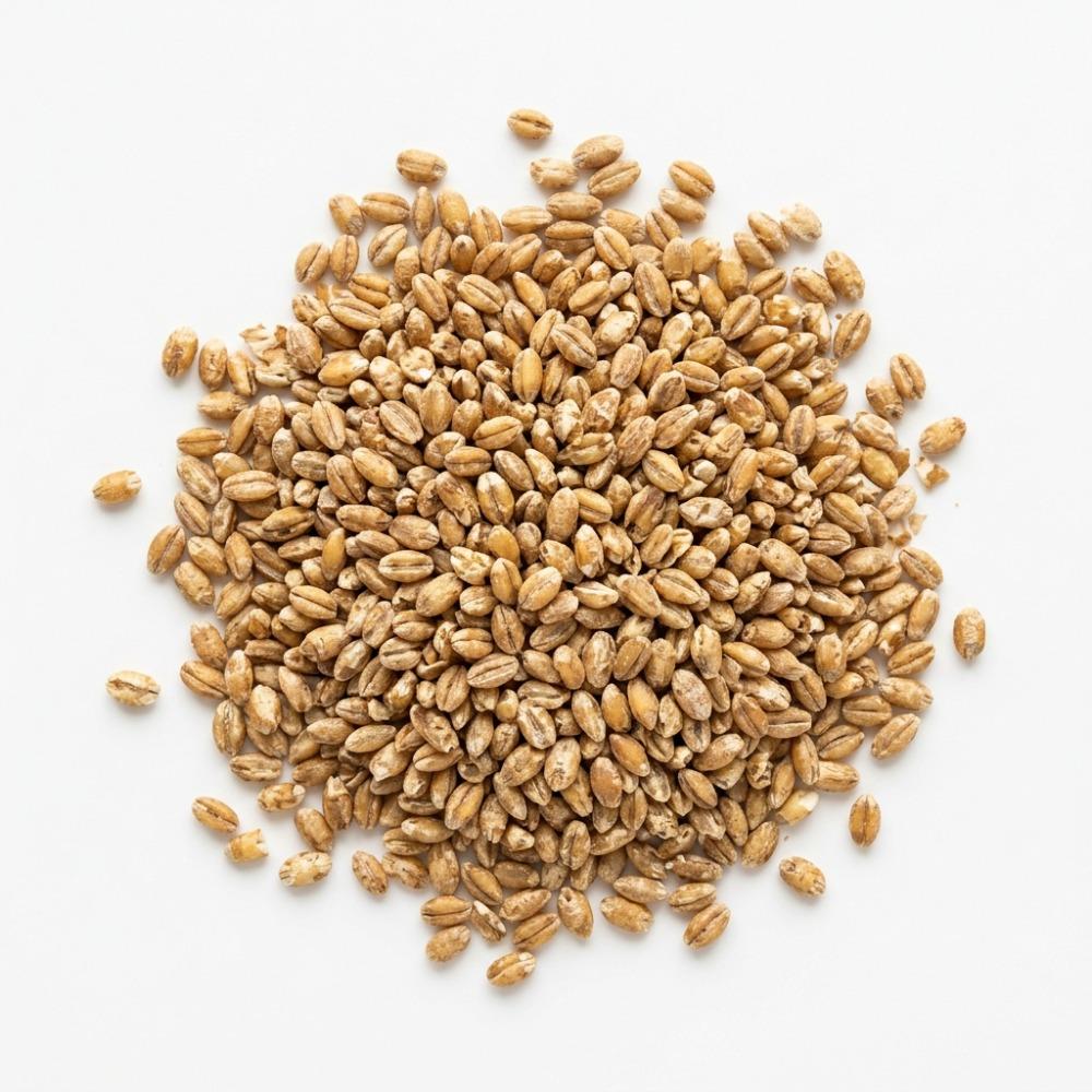 Barley Dehulled 5 kg Epigrain