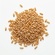 Kamut Kernels 2 kg Epigrain