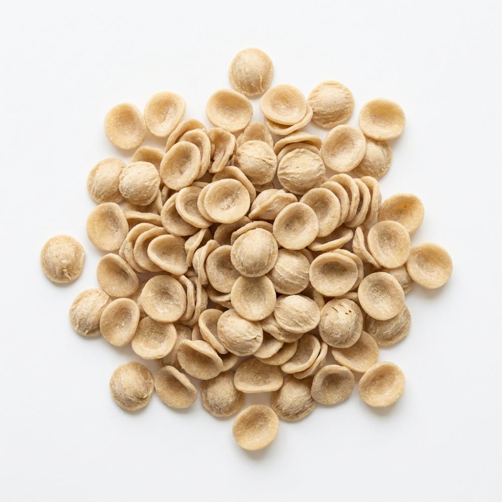 Orecchiette Artisanal Pasta 2 kg Viniteau