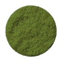 Mint Powder Freeze Dried 60 g Fresh-As