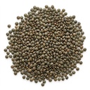 Lentils Eh Puy 5 kg Epigrain