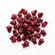 Hibiscus Flowers Whole in Syrup 250 g Wild Hibiscus