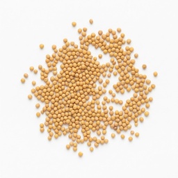 [181944] Mustard Seed Yellow Whole 5 lbs 24K