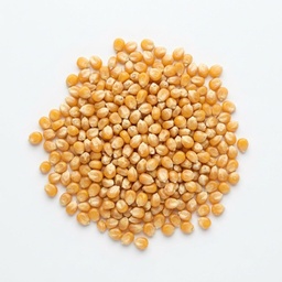 [204228] Popcorn Kernels (Mushroom) 5 lbs Epigrain