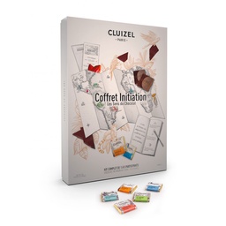 [170707] Coffret Initiation Carrés de Chocolat 275 g Michel Cluizel