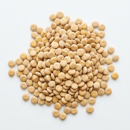 [061102] 5 kg Epigrain