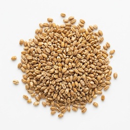 [204072] Barley Dehulled 5 kg Epigrain