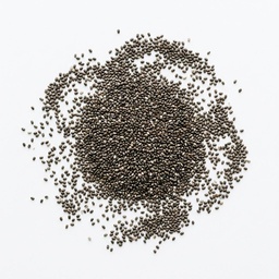 [204157] Chia Seeds Black 2 kg Epigrain